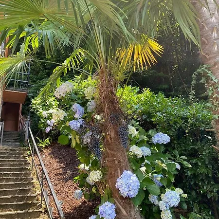 Terrazza Sul * لووِنو